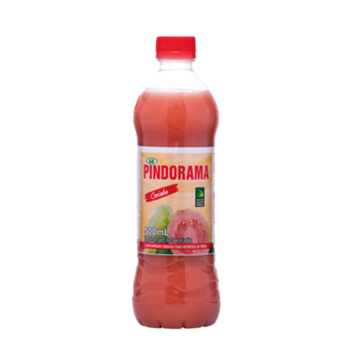 Pindorama Suco Conc Goiaba 12x500ml